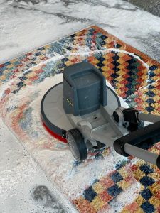 Aria Teppichreinigung München
