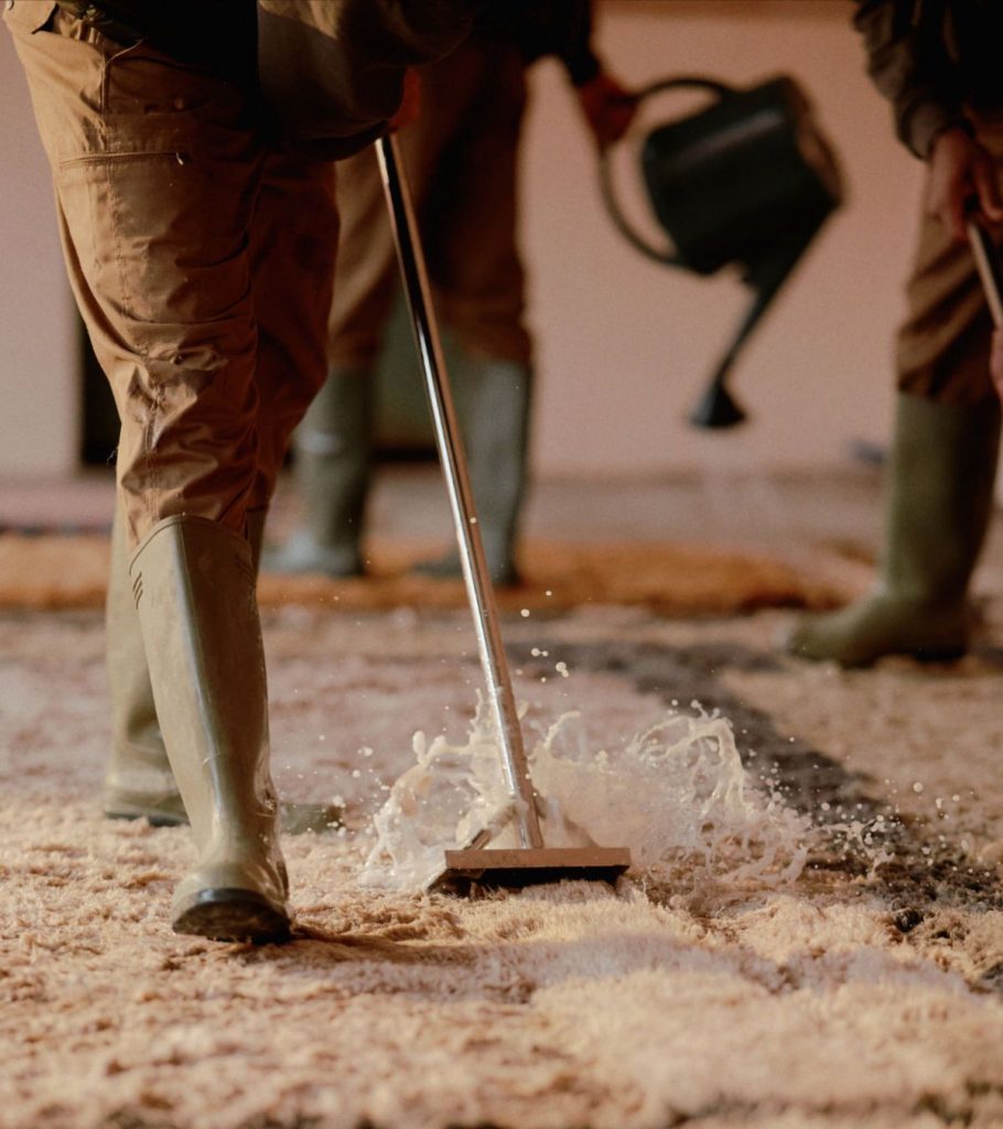 Professionelle Perserteppichreinigung und Teppichreparatur